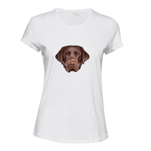 Brown cute labrador dog - au,