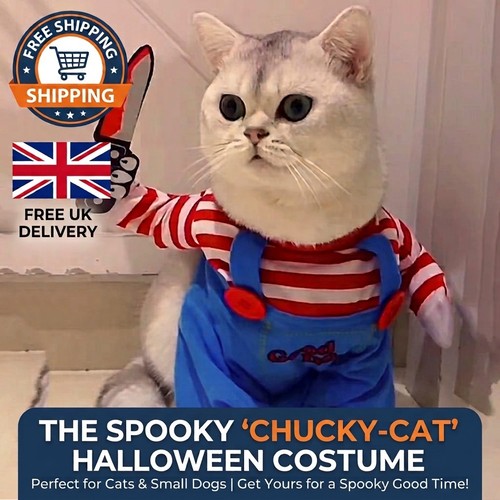 Pet costume funny cat - -,
