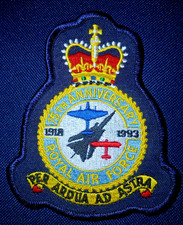 RAF COMMEMORATIVE FLYING SUIT