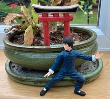 2 Bruce Lee action figures