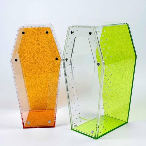 Jumping spider enclosure - jumping,