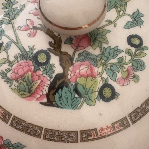 Large wedgewood indian - wedgewood, tree
