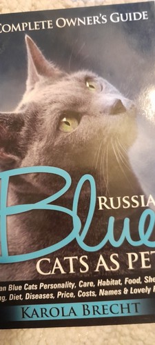 Russian blue cats pets - russian, as