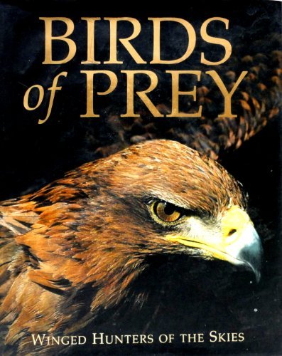 Birds prey paul - prey, frost