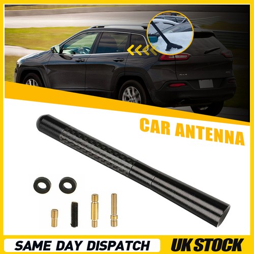 Universal car roof - car, mast