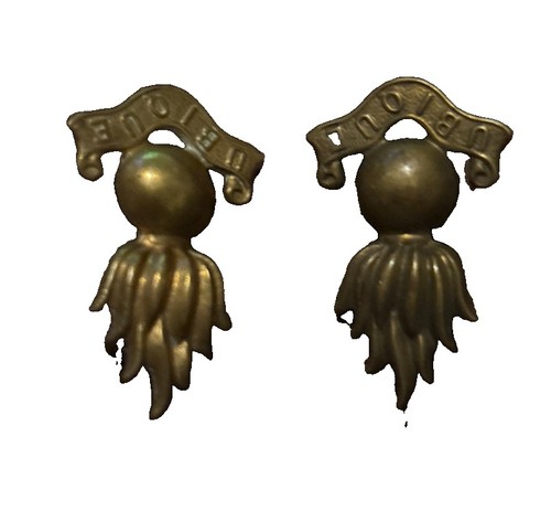 Military collar badges - x,