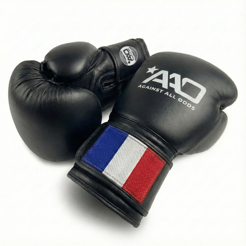 France boxing gloves aao - france,