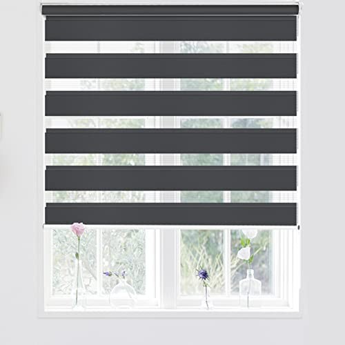 Kokorona day and - day, zebra