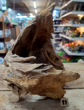 Derwen oak bogwood 39cm - oak, 19-39cm