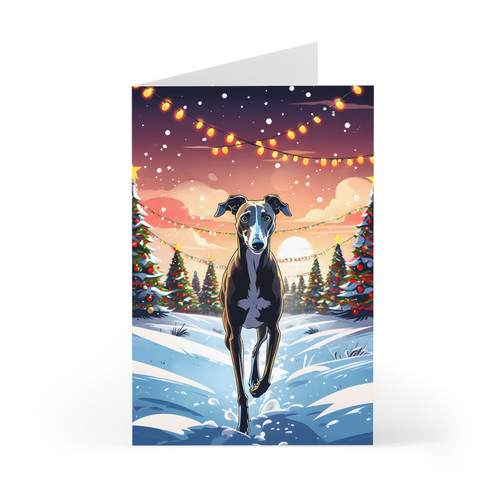 Black greyhound whippet - greyhound,