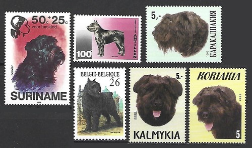 Bouv frame dog - frame,