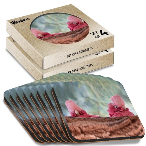 Square mdf coaster galah bird - galah,