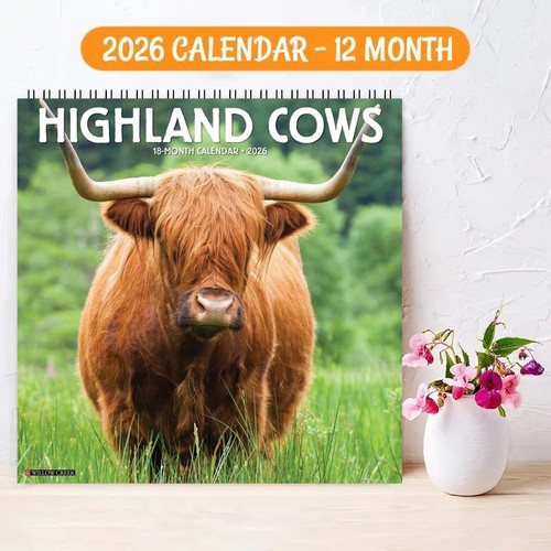 2026 highland cow - highland, calendar