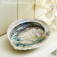 Abalone Shell Trinket & Soap