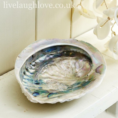 Abalone shell trinket soap - &,