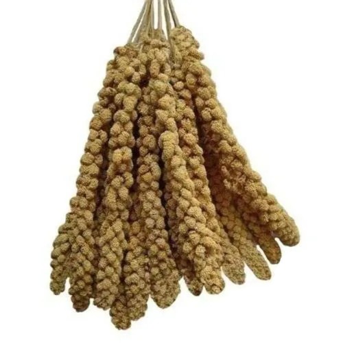 Millet spray sprigs - millet, x5