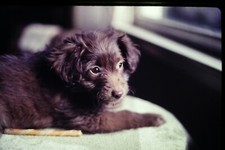 Vintage 35mm Slides Photos