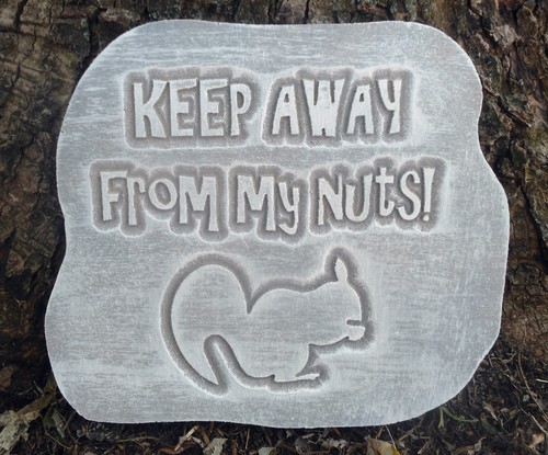 Squirrel plaque mold - , garden