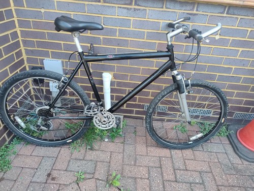 Raleigh mountain bike - raleigh,