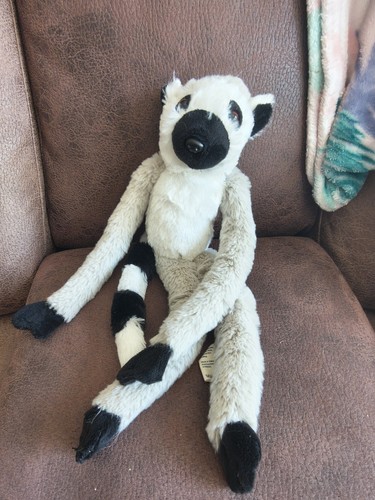 Long arm and leg lemur - long,