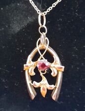 Edwardian 9ct Garnet Horseshoe Lavalier Pendant with Chain