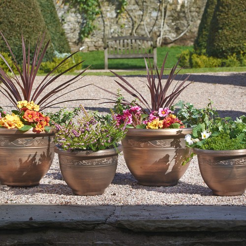 Bronze effect garden flower - effect,