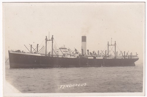 Tyndareus blue funnel line - tyndareus,