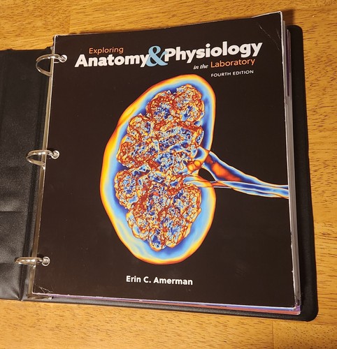 Amerman exploring anatomy - amerman,