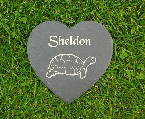 Personalised engraved pet - personalised,