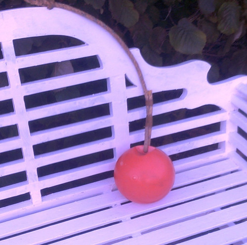 Lobster pot marker buoy with - marker,