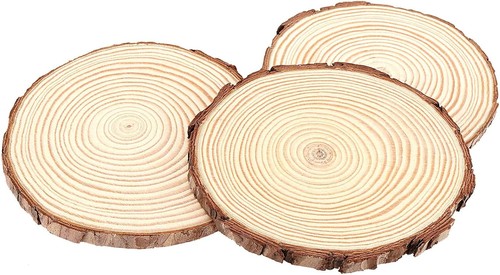 Unfinished wood slices 20pcs - wood, 5-20pcs
