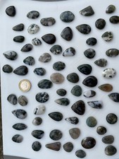 Moss Agate Cabochon /