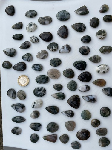 Moss agate cabochon - moss,