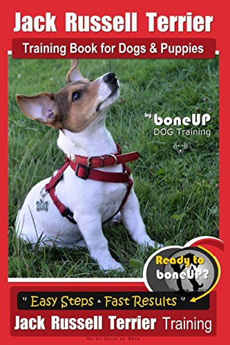 Jack russell terrier training - russell,