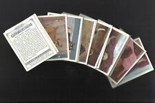 D1) 110 YEAR OLD ORIGINAL DOG CARDS * PICK YOUR BREED * ALL PRE WAR ORIGINALS