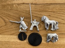 Knights of Dol Amroth Captain