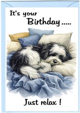 Tibetan terrier dog - tibetan, birthday