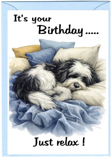 Tibetan terrier dog birthday - terrier,