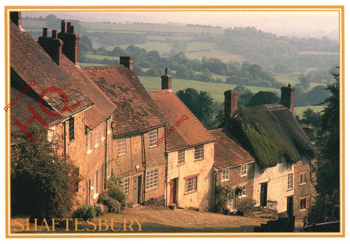 Picture postcard shaftesbury - postcard:,