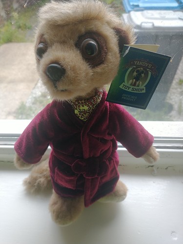 Compare the meerkat - compare,