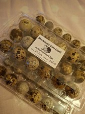 24 Quail Eggs. Raw Food For