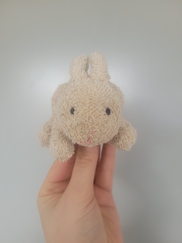 Russ mini rabbit - rabbit, home