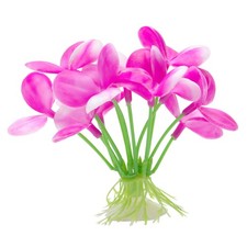 Betta Pink Orchid Aquarium