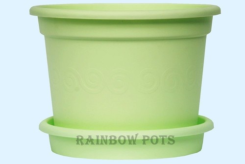 Plastic plant pot - plant, colour