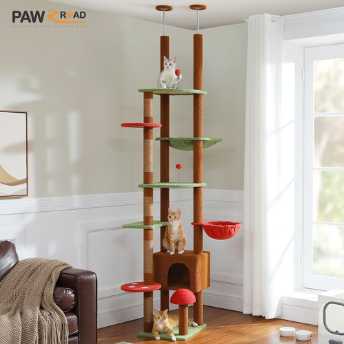 Pawz road floor ceiling cat - pawz,