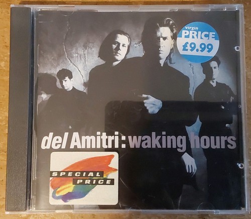 Waking hours del amitri - del,