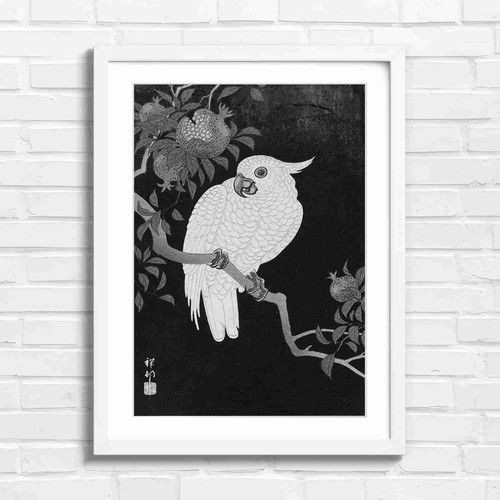 White cockatoo with - white,