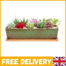 30 CM Long Minimalist Succulent Planter with Drainage - Perfect for Home Decor