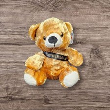 PERSONALISED BIRTHDAY/CHRISTMAS 24CM TEDDY BEAR WITH SASH ADD YOUR OWN TEXT