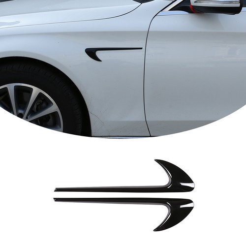 Glossy black side - black, wing
